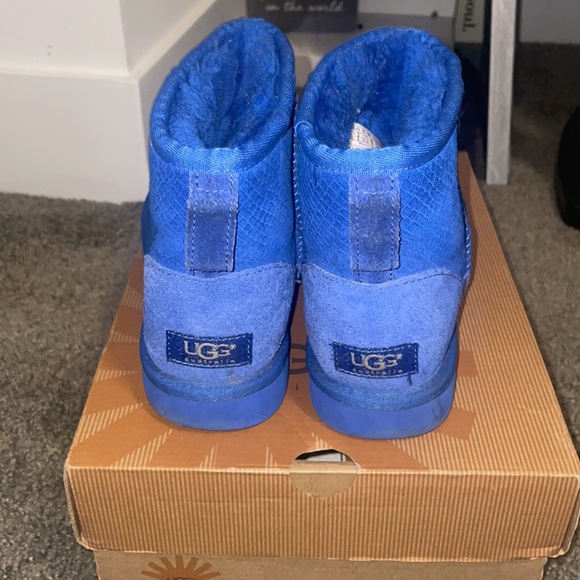 Exotic mini scale blue uggs - Picture 3 of 8